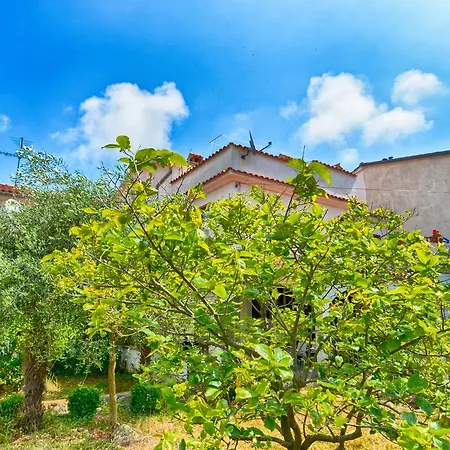 Eleonora 380 Guest house